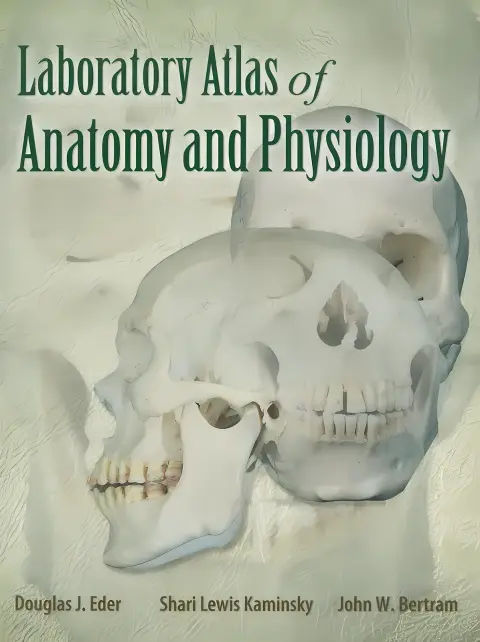 Cover of Anatomy and Physiology