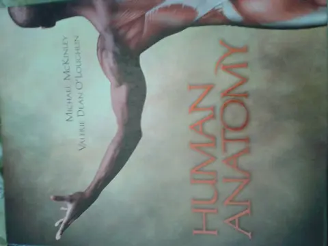 Cover of Human Anatomy