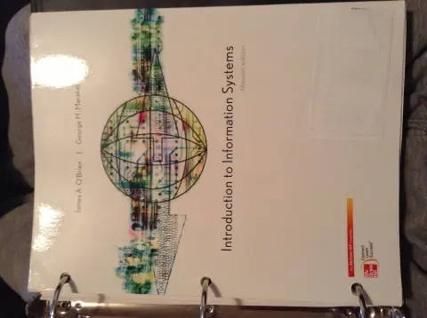 Cover of Introduction to Information Systems