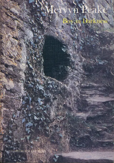 Cover of Boy in Darkness