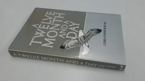 Cover of Twelve-month and a Day