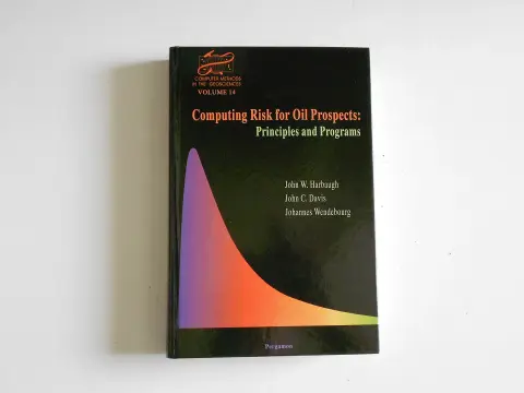 Cover of Computing Risk for Oil Prospects