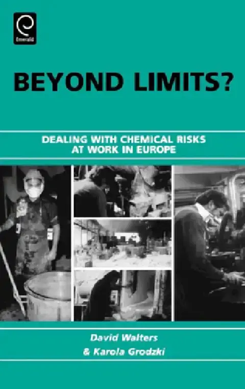 Cover of Beyond Limits?