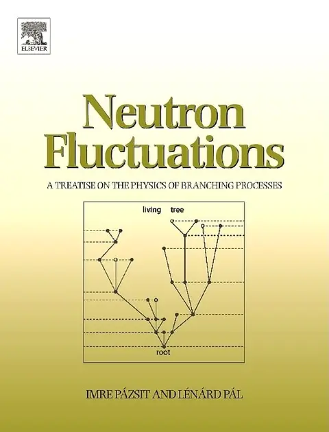 Cover of Neutron Fluctuations