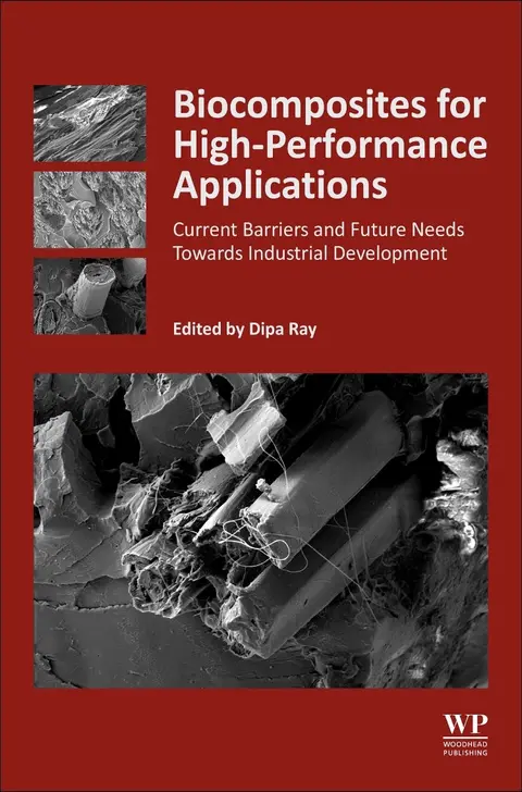Cover of Biocomposites for High-Performance Applications