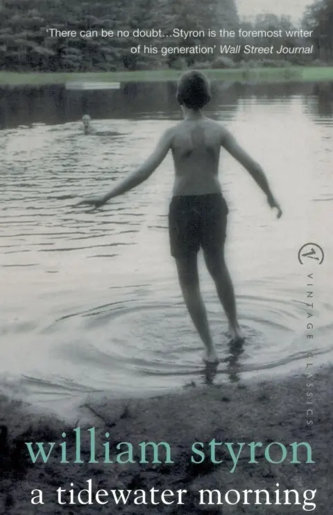 Cover of A Tidewater Morning