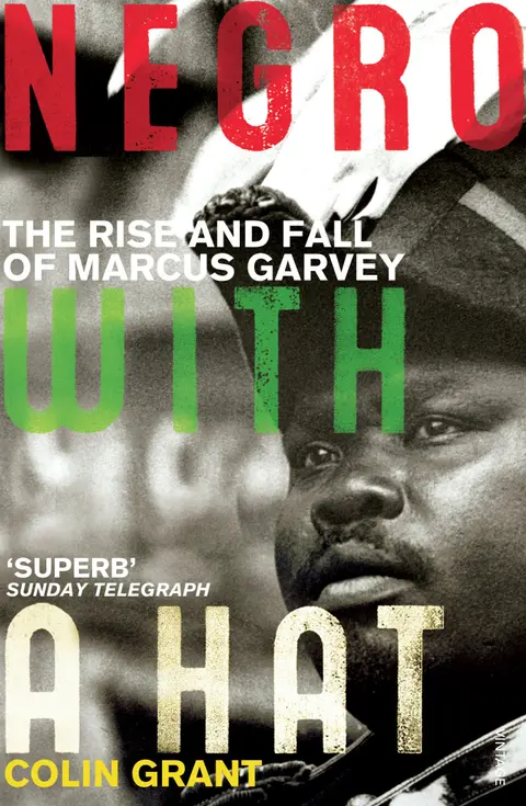 Cover of Negro with a Hat