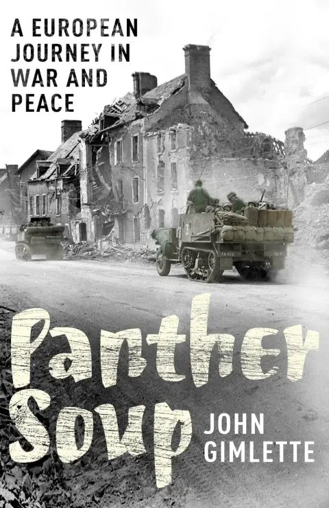 Cover of Panther Soup