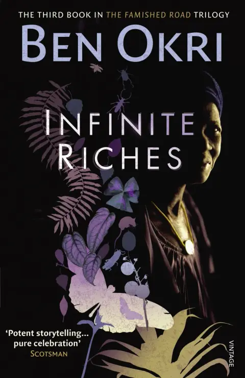Cover of Infinite Riches