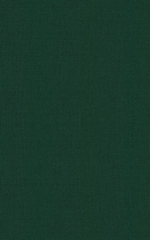 Cover of Advances in Child Development and Behavior