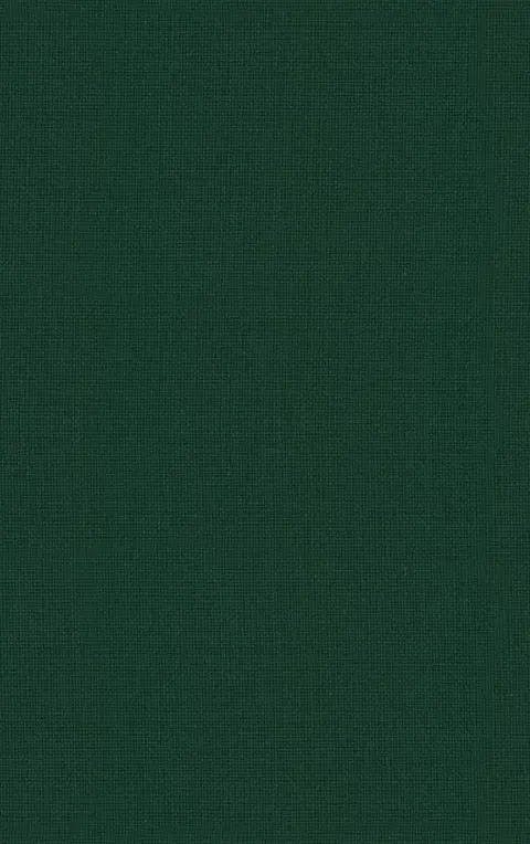 Cover of Advances in Child Development and Behavior