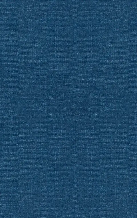 Cover of Fuzzy Sets and Systems