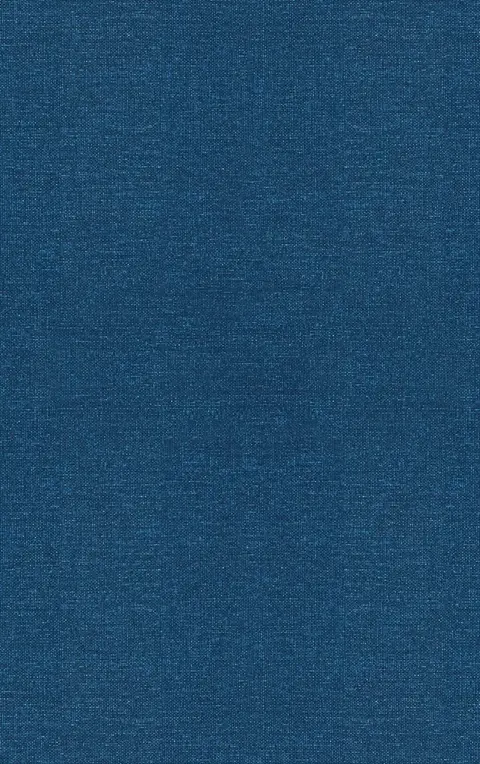 Cover of The Human Retroviruses