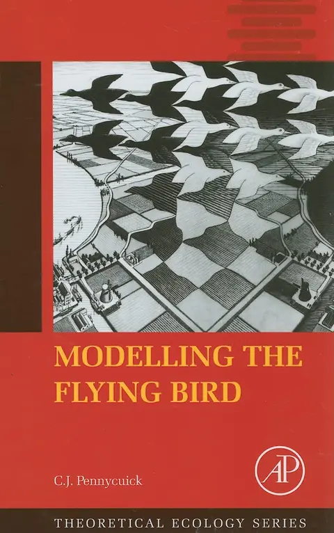 Cover of Modelling the Flying Bird
