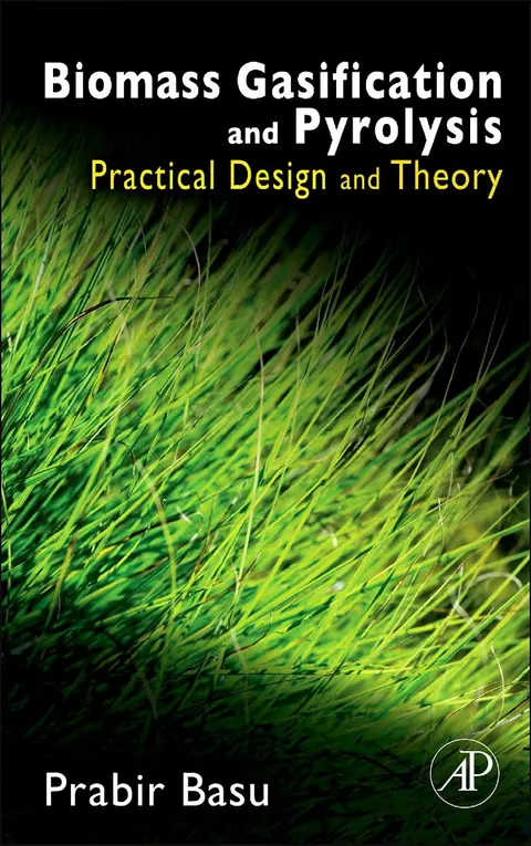 Cover of Biomass Gasification and Pyrolysis