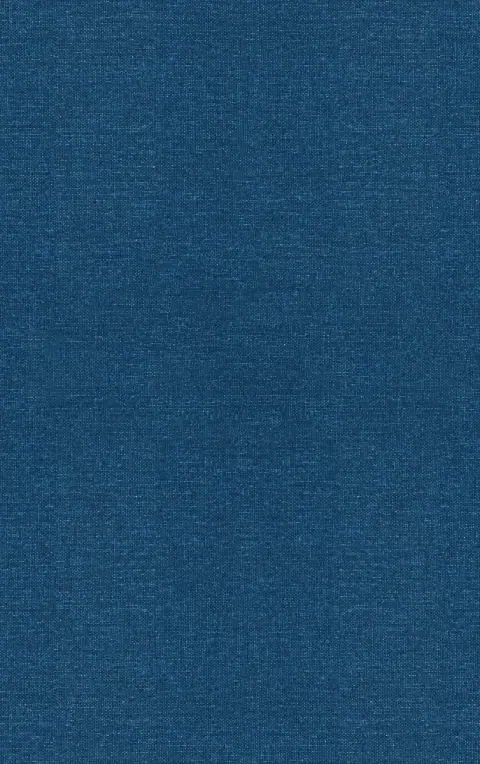 Cover of Exploratory and Multivariate Data Analysis