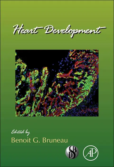 Cover of Heart Development