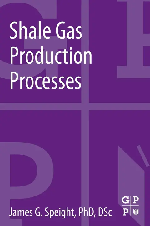 Cover of Shale Gas Production Processes