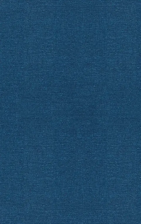 Cover of Polarized Light in Optics and Spectroscopy