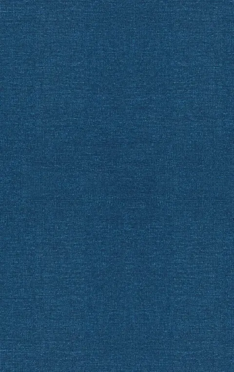 Cover of From Memex to Hypertext