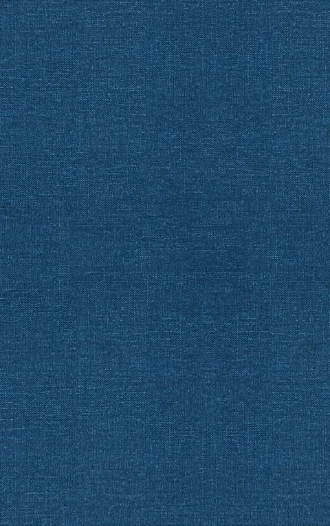 Cover of Leonardo Pisano (Fibonacci)
