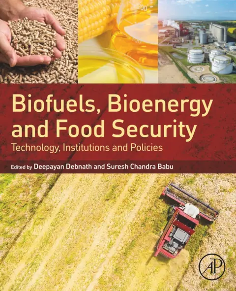 Cover of Biofuels, Bioenergy and Food Security