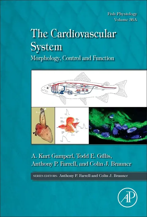 Cover of The Cardiovascular System