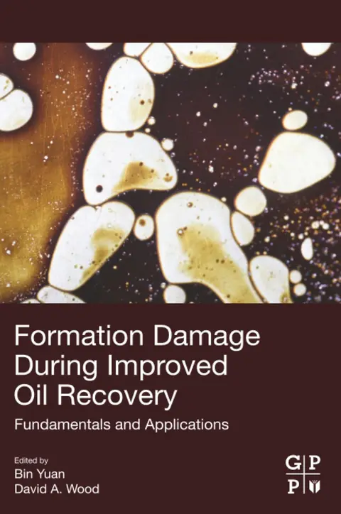 Cover of Formation Damage during Improved Oil Recovery