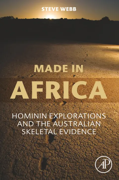 Cover of Made in Africa