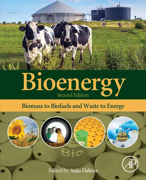 Cover of Bioenergy