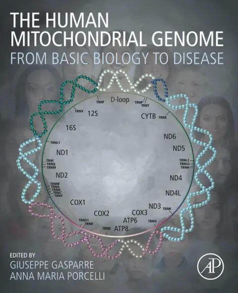 Cover of The Human Mitochondrial Genome