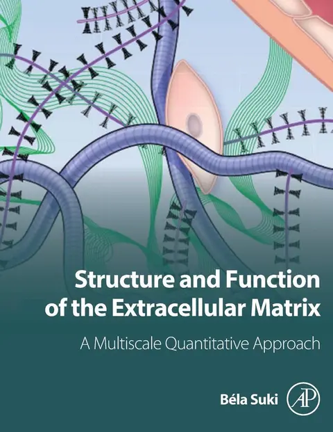 Cover of Structure and Function of the Extracellular Matrix