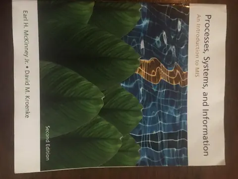 Cover of Processes, Systems, and Information