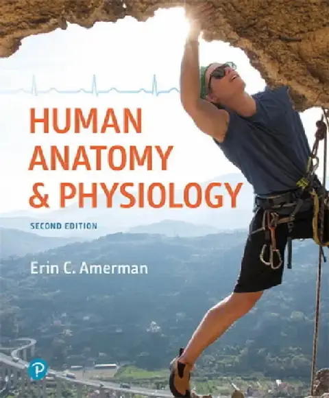 Cover of Human Anatomy & Physiology
