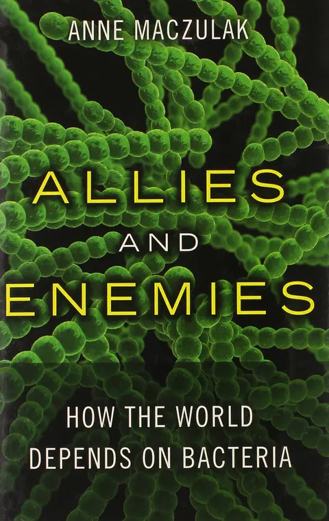 Cover of Allies and Enemies