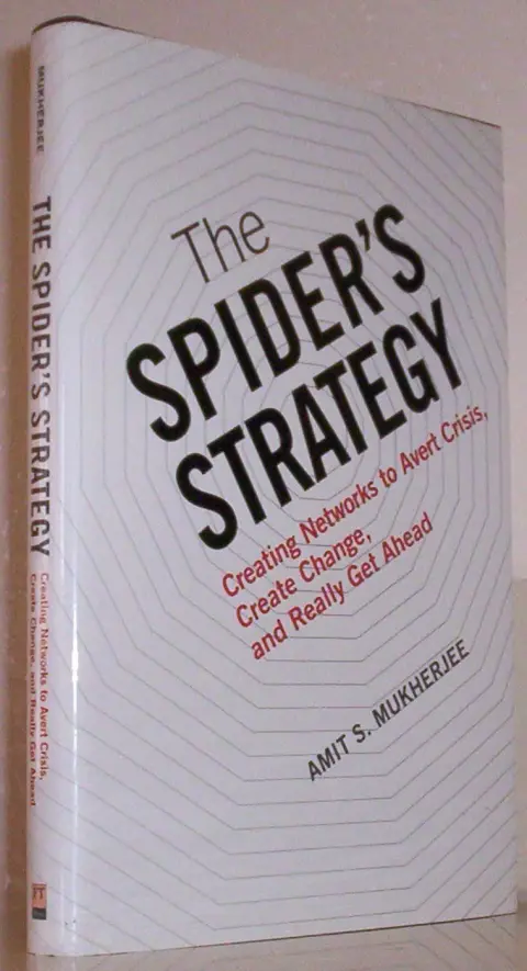 Cover of The Spider’s Strategy