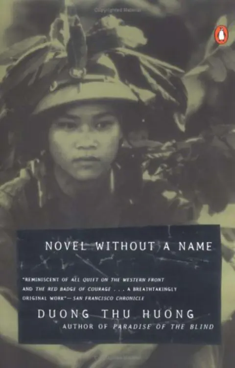 Cover of Novel without a Name