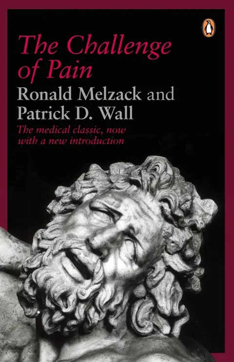 Cover of The Challenge of Pain