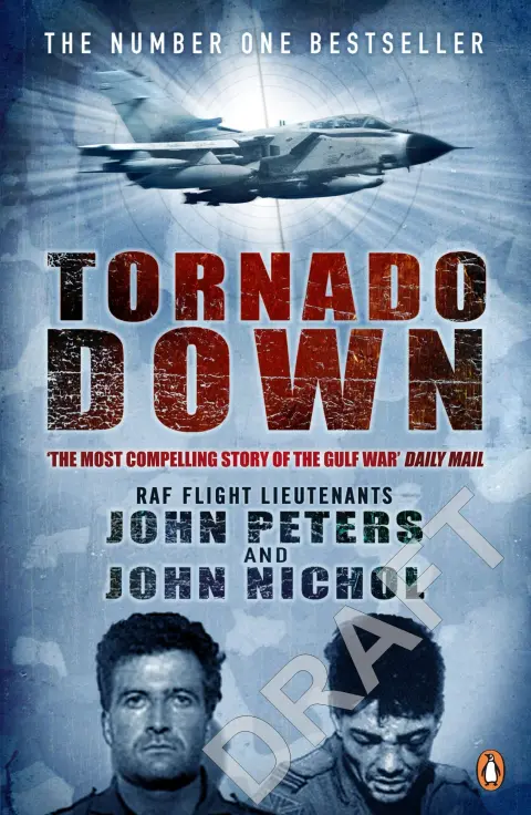 Cover of Tornado Down
