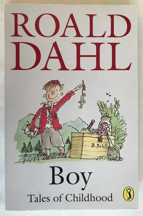 Cover of Boy
