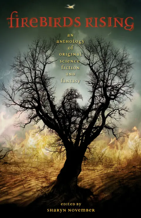 Cover of Firebirds Rising