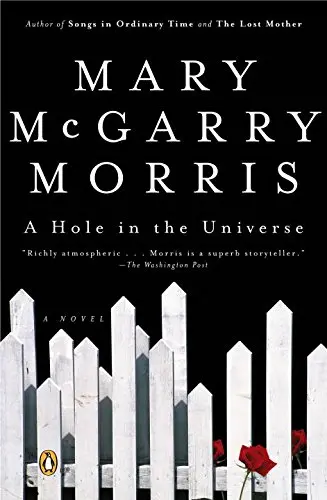 Cover of A Hole in the Universe
