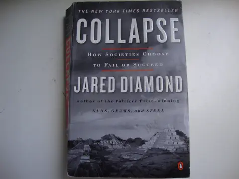Cover of Collapse