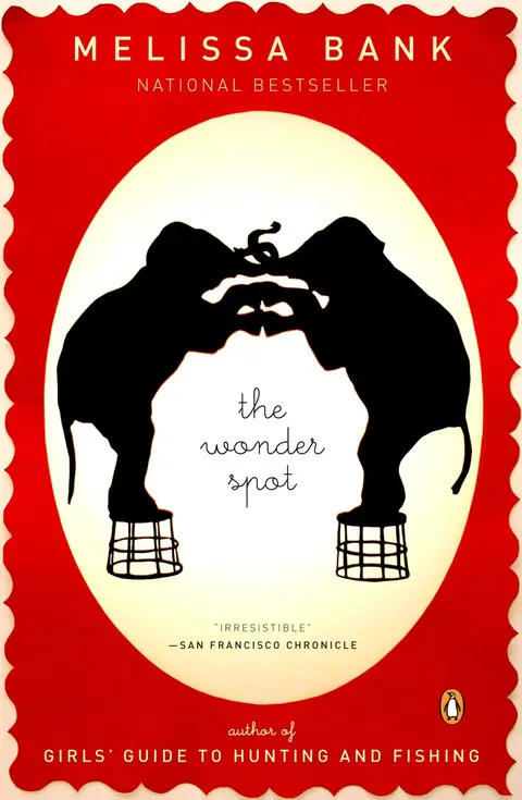 Cover of The Wonder Spot