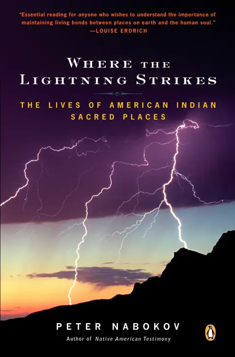 Cover of Where the Lightning Strikes