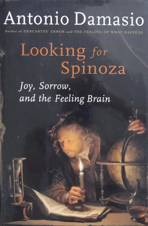 Cover of Looking for Spinoza