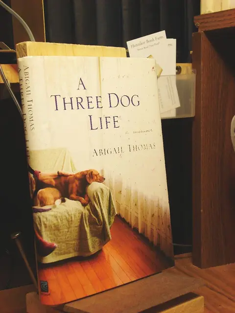 Cover of A Three Dog Life