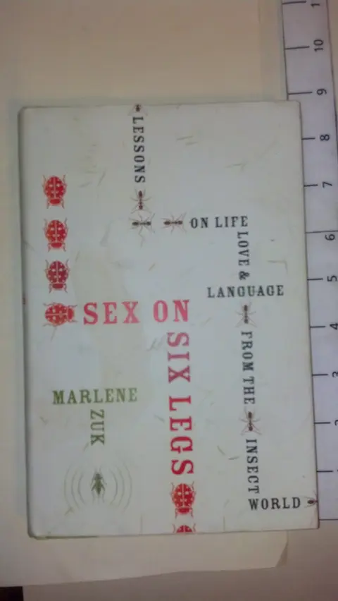 Cover of Sex on Six Legs