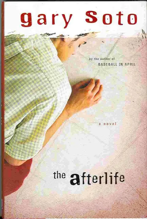 Cover of Afterlife