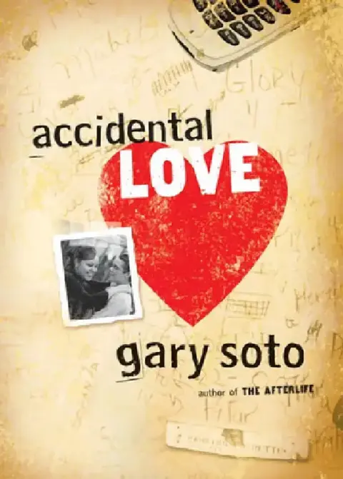 Cover of Accidental Love